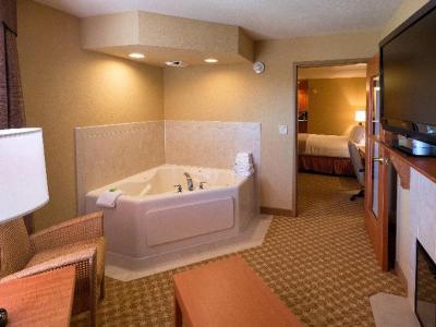 Hotel Holiday Inn Express & Suites Chicago West-Roselle - Bild 4