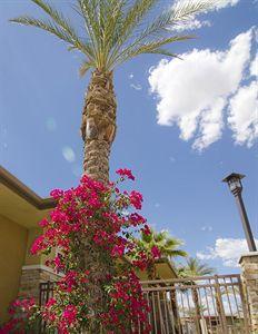 Hotel Sonoran Suites of Palm Springs - Bild 3
