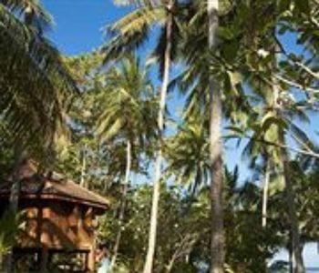 Hotel Palm Paradise Cabanas & Villas - Bild 2