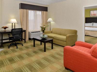 Hotel Holiday Inn Express & Suites Indianapolis West - Airport Area - Bild 5