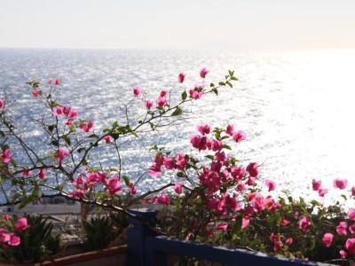 Aegean View Hotel - Bild 2