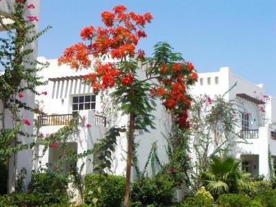 Hotel Delta Sharm Resort - Bild 2