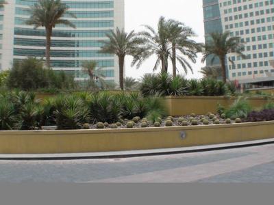 Hotel Crowne Plaza Dubai - Festival City - Bild 5