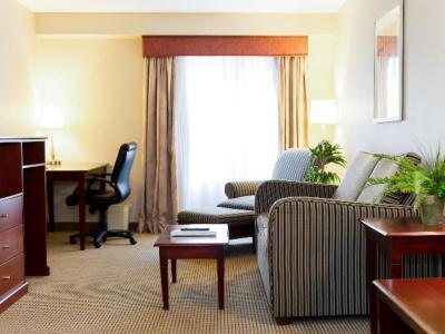 Hotel Holiday Inn Express & Suites Surrey - Bild 5