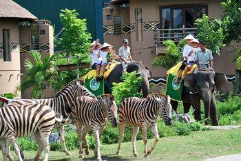 Hotel Mara River Safari Lodge - Bild 5