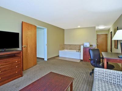 Holiday Inn Express Hotel & Suites East Lansing - Bild 5