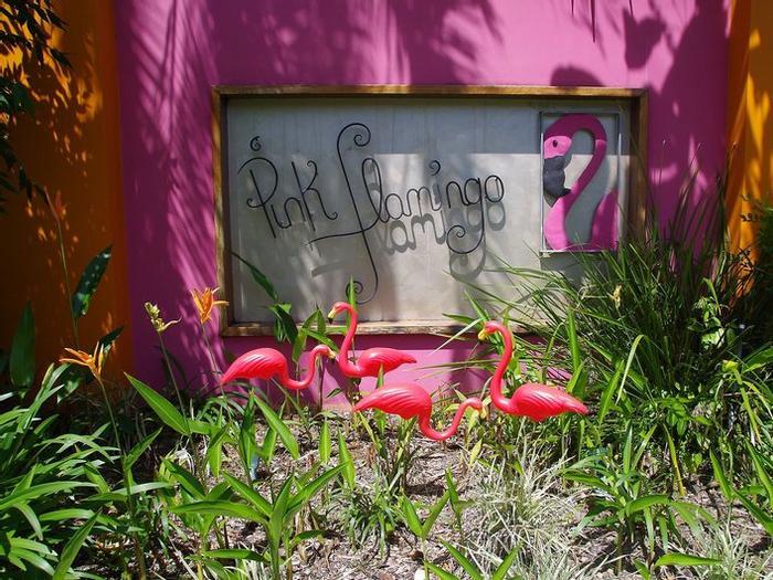 Hotel Pink Flamingo - Bild 1