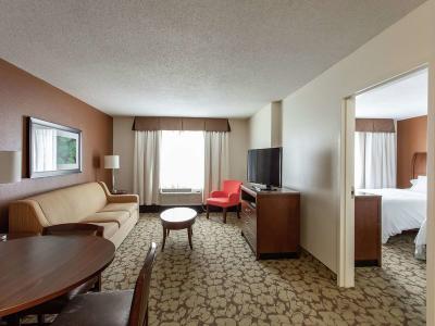 Hotel Hilton Garden Inn Orlando at SeaWorld - Bild 2