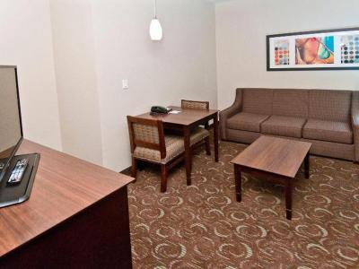 Hotel Holiday Inn Express And Suites San Antonio SE by AT&T Center - Bild 4