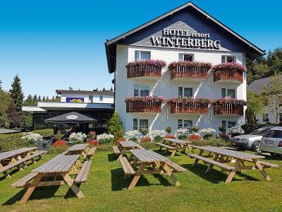Hotel Winterberg Resort - Bild 4