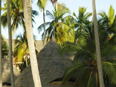 Hotel Ocean Paradise Resort & Spa Zanzibar - Bild 5