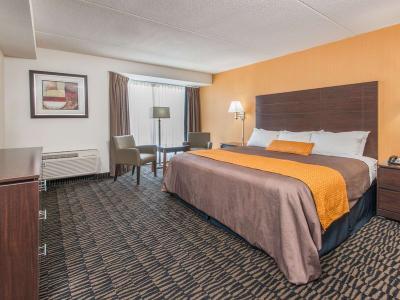Hotel Ramada Plaza by Wyndham Niagara Falls - Bild 5