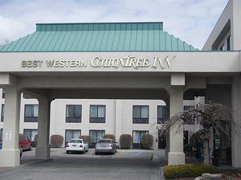 Hotel Best Western Plus CottonTree Inn - Bild 4