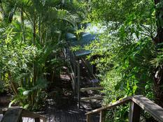 Kipara Tropical Rainforest Retreat