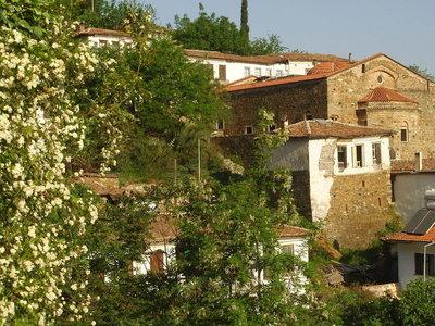 Terrace Houses Sirince - Fig, Olive & Grapevine