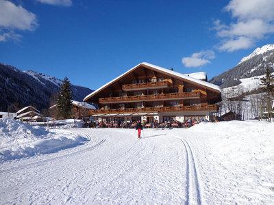 Hotel Alpenland - Gstaad