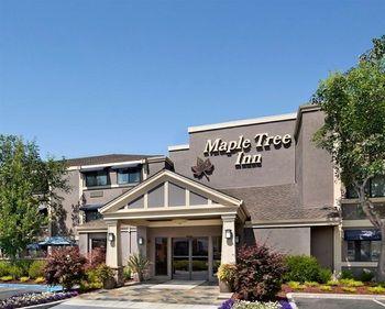 Hotel Maple Tree Inn - Bild 4