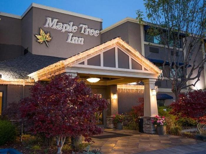 Hotel Maple Tree Inn - Bild 1