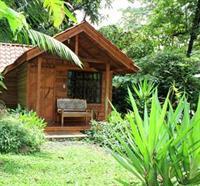 Arenal Oasis Eco Lodge & Wildlife Refuge - Bild 1